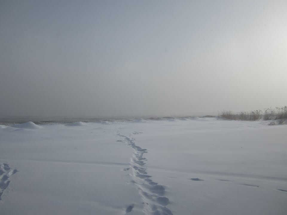 IN THE WINTER AIR, MAKE YOUR OWN PATH...