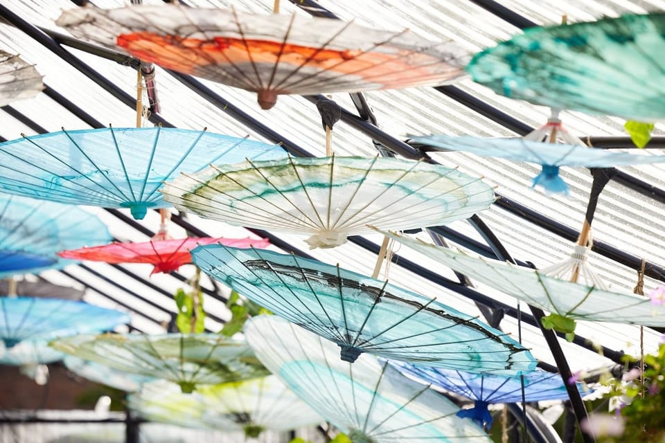 Rear wing: shade umbrellas
