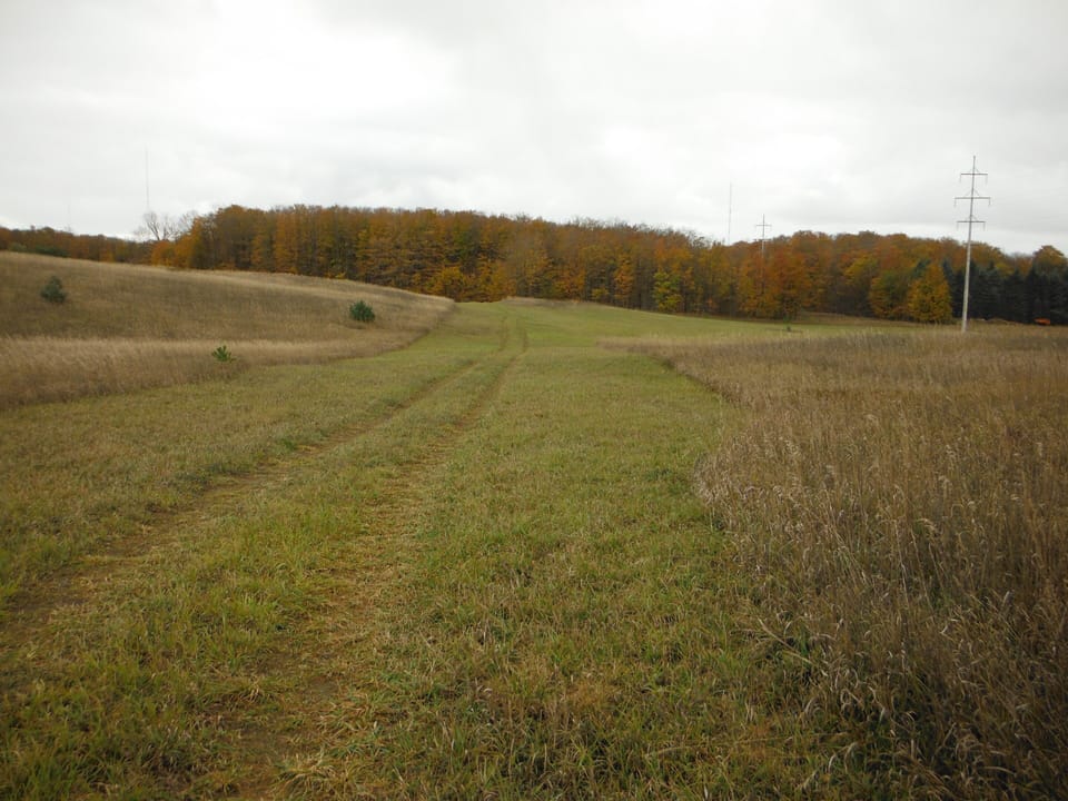 walking / biking trails