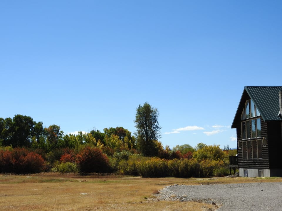 fall foliage along Bear Creek 