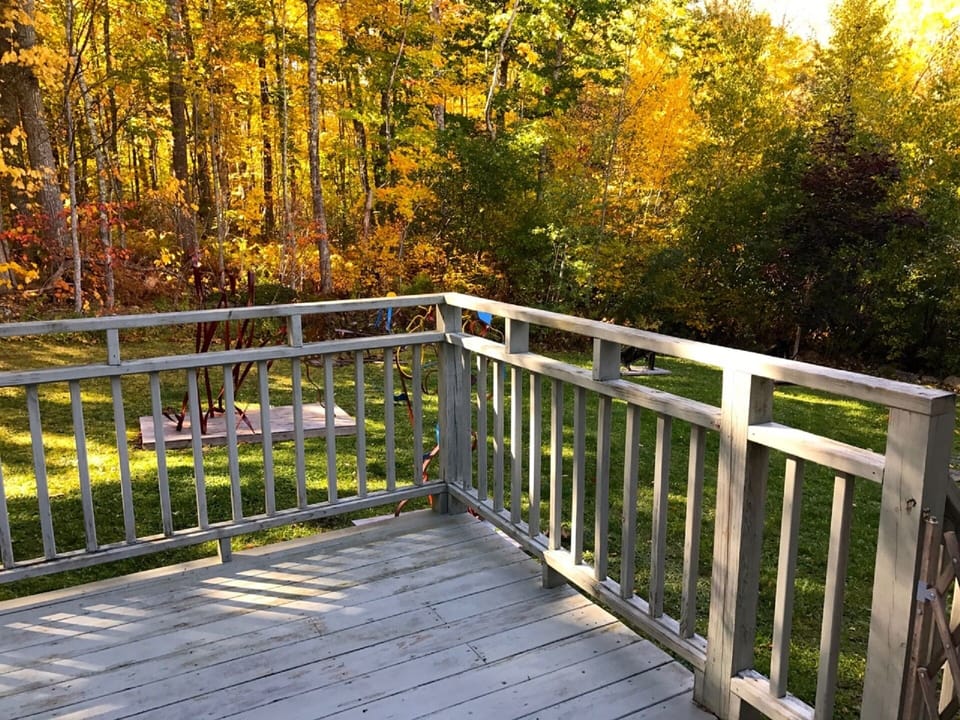 Back deck in autumn. Lots of privacy.