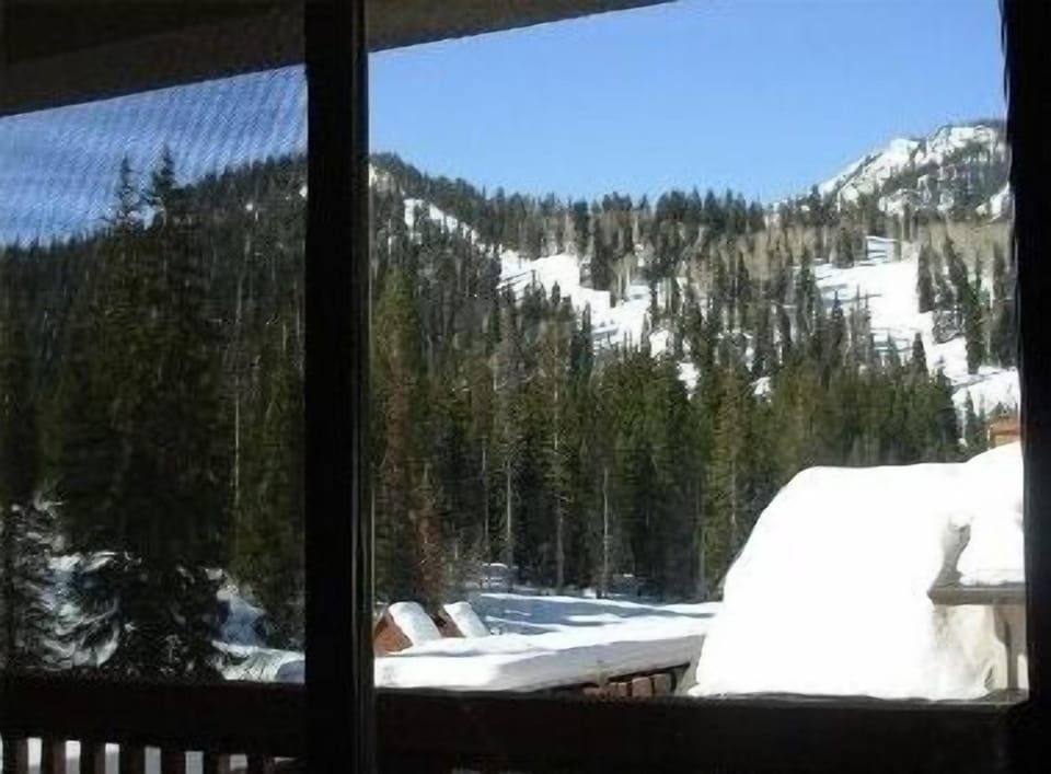 The view out the family room sliding glass doors