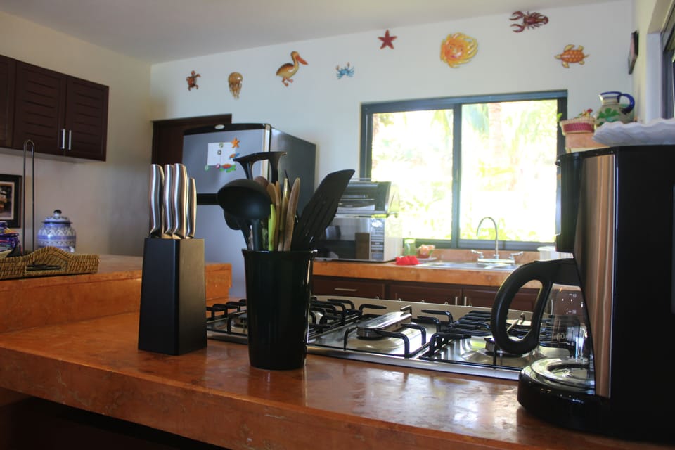 View of the kitchen