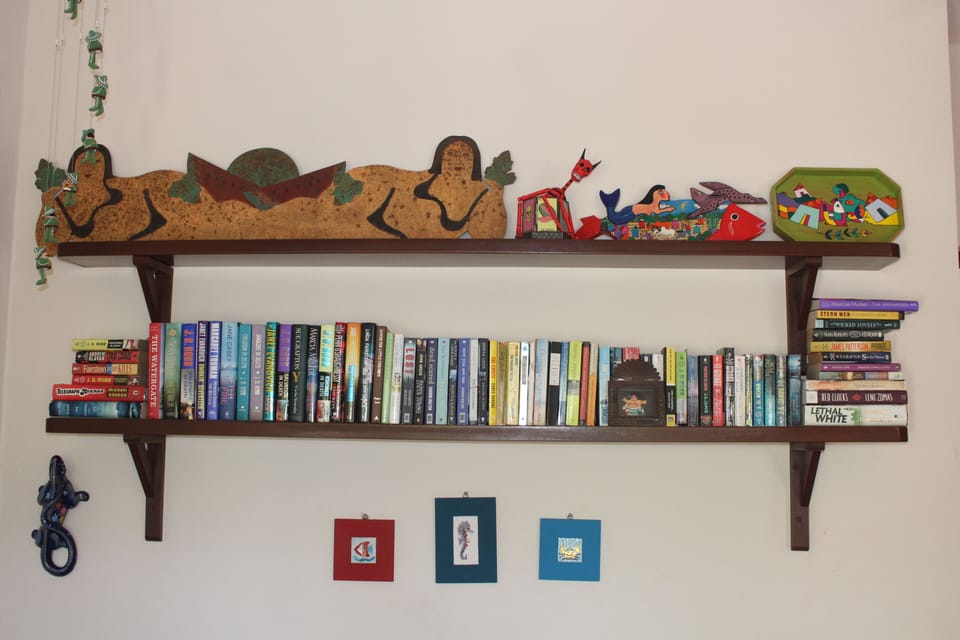 Books in the TV room