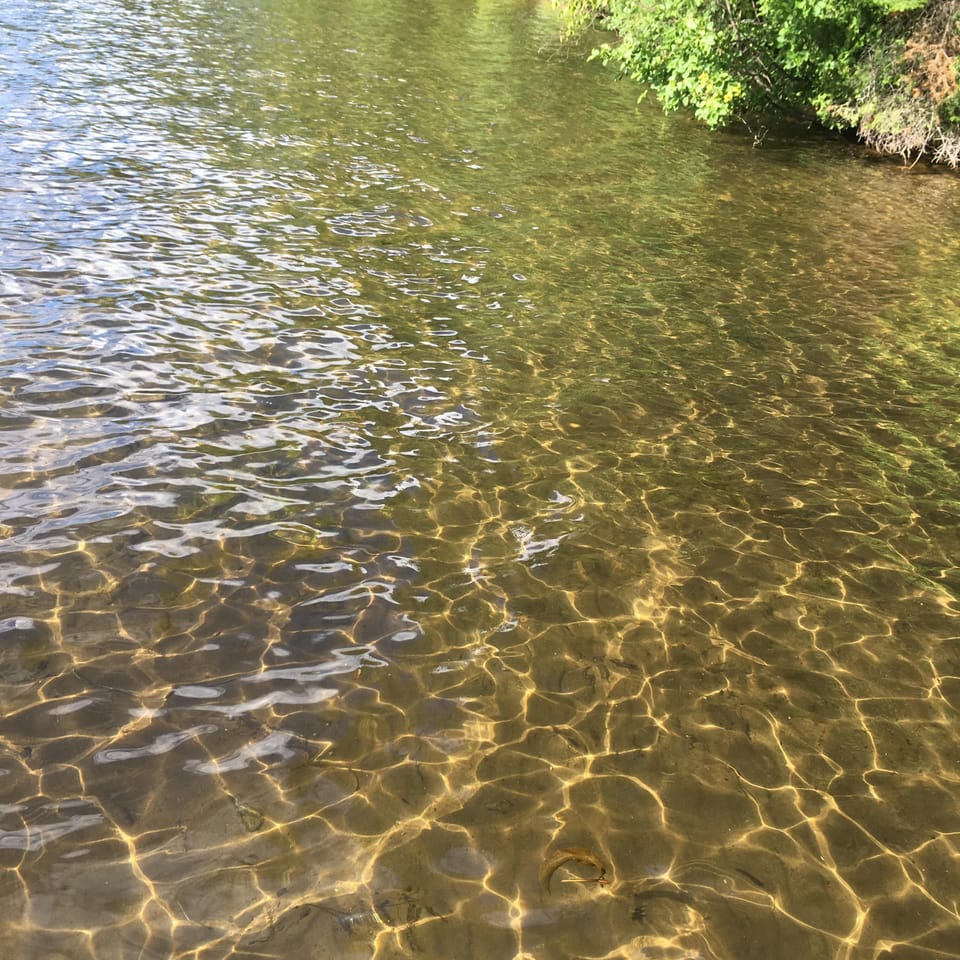 Sugar sand swim time.