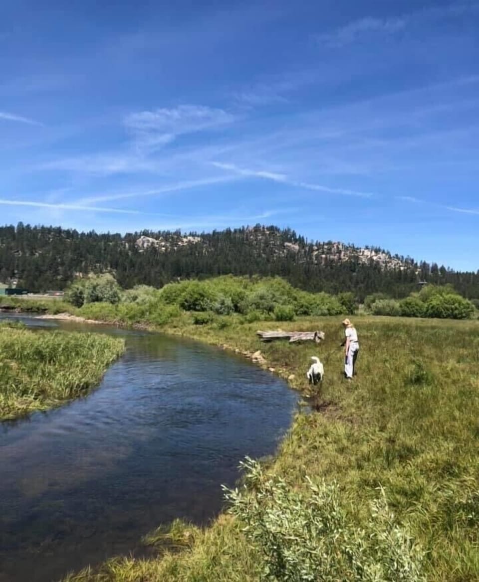 Walk to the Truckee River from the cabin