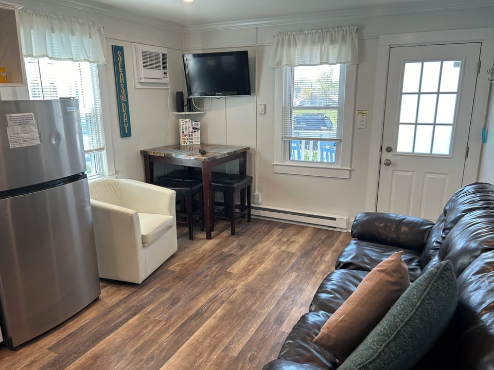 Living Room with full size pull out sofa sleeper