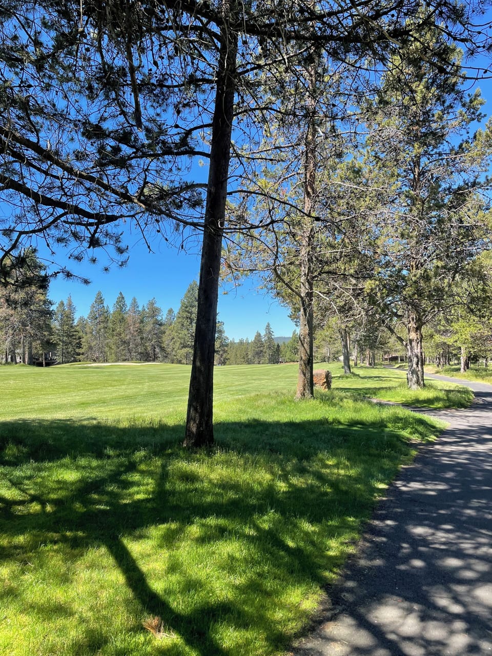 14th fairway of the Woodlands course off the back deck