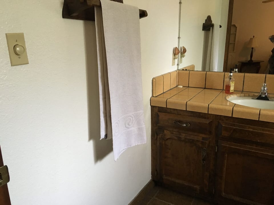 Bathroom in master bedroom 