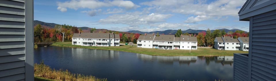 Panoramic view from the back porch.