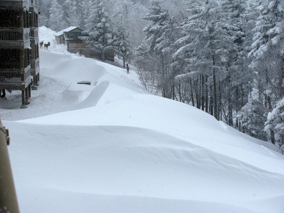 Winter Back Yard