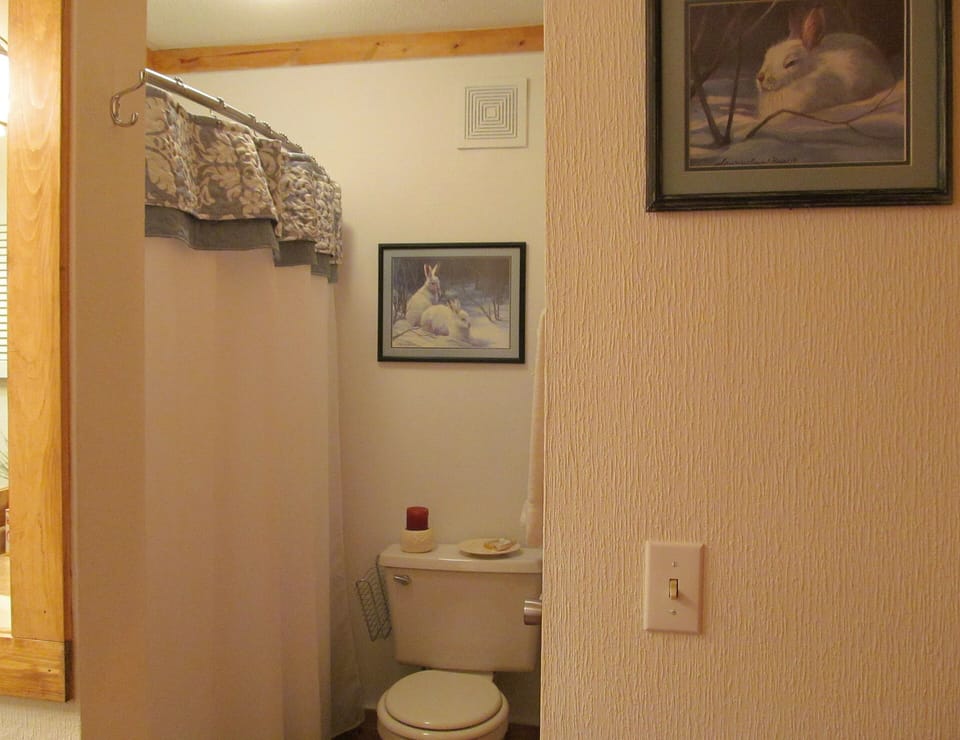 Master bathroom with sauna
