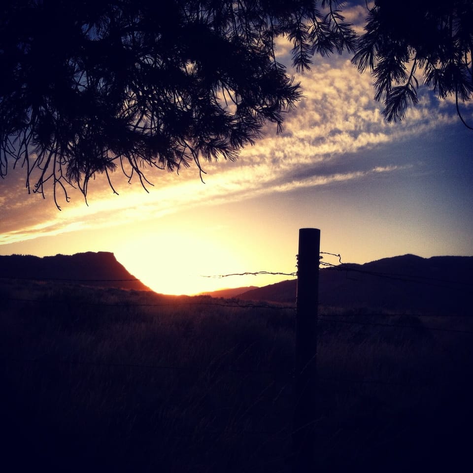 Sunset from the backyard. 