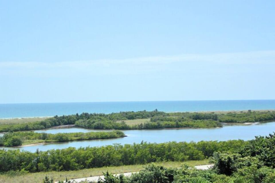 View of Gulf of Mexico and Bird Sanctuary from unit!