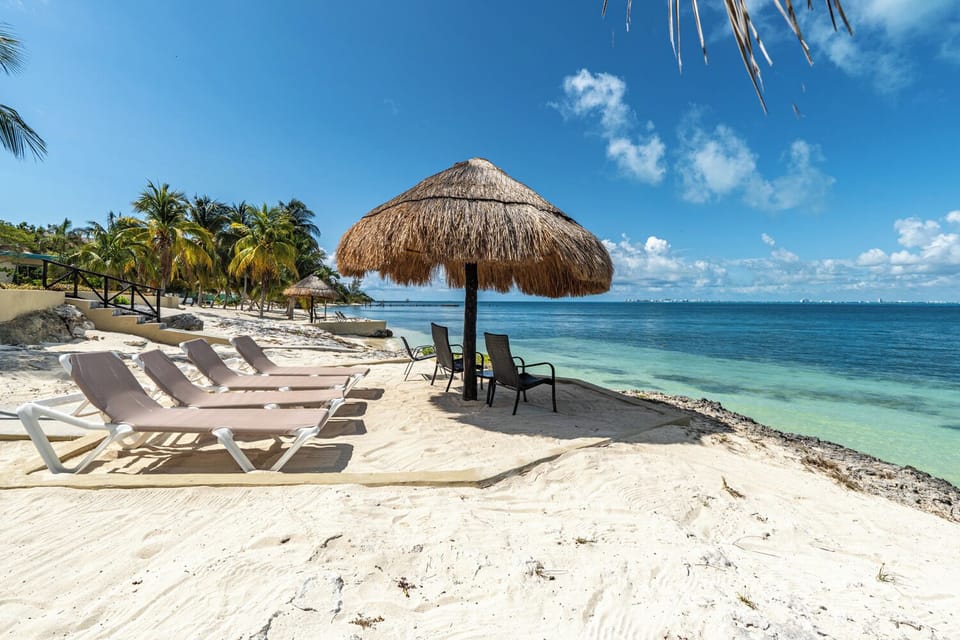 Property grounds - Private sargazo FREE Beach