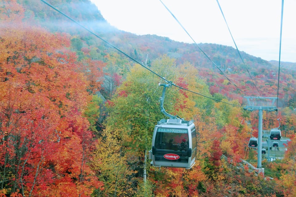Beautiful fall colors 🍁