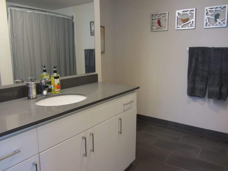 Main bath (near 2nd bedroom) with tub/shower