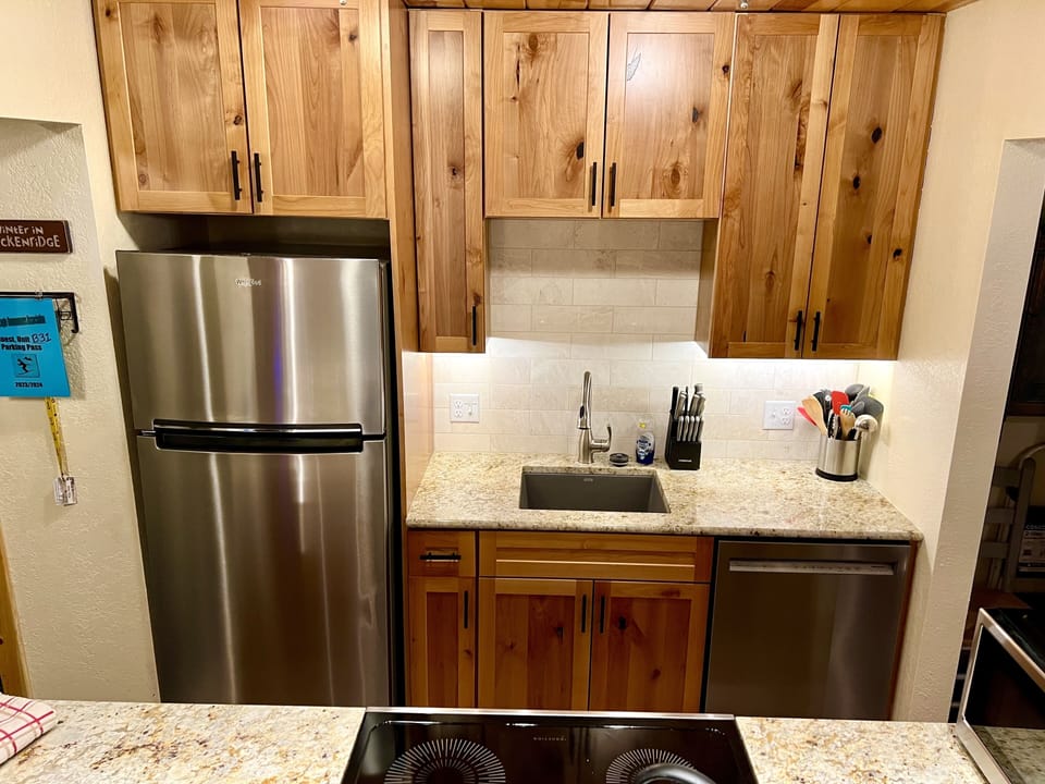 Renovated kitchen in 2023 has stainless steel appliances & an Induction cooktop