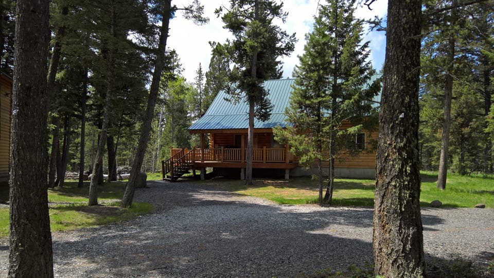 Spring time!   The snow is gone and things are greening up!