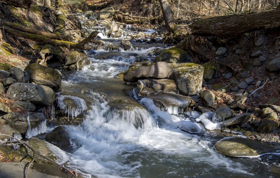 Hutchin Brook running through the property 