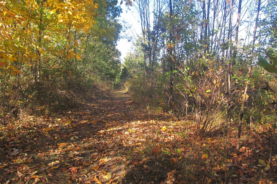 One of the trails on the property
