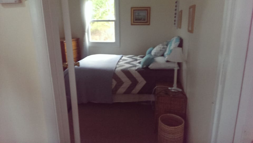 Downstairs bedroom