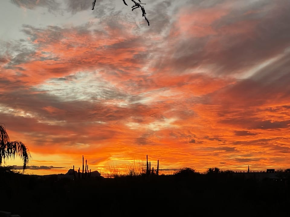 Backyard sunsets