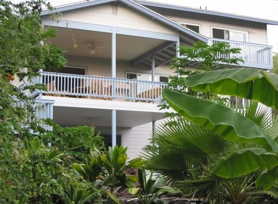 Sip Kona Coffee on the Lanai: ! Dream ~ Swim ~Fun Adventures