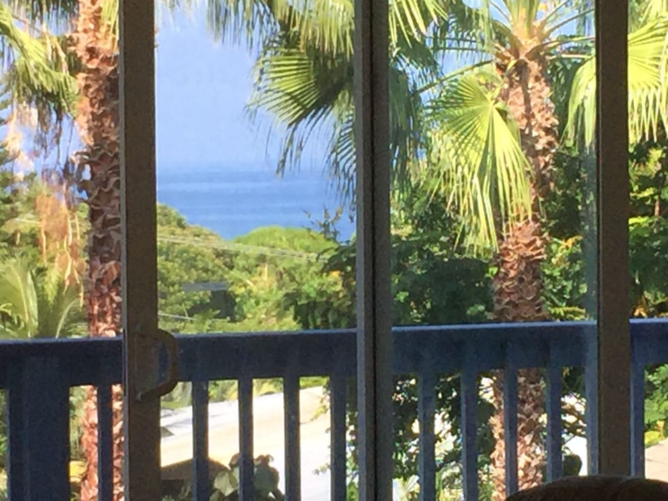 The makai (ocean) view from the upstairs bedroom/great room