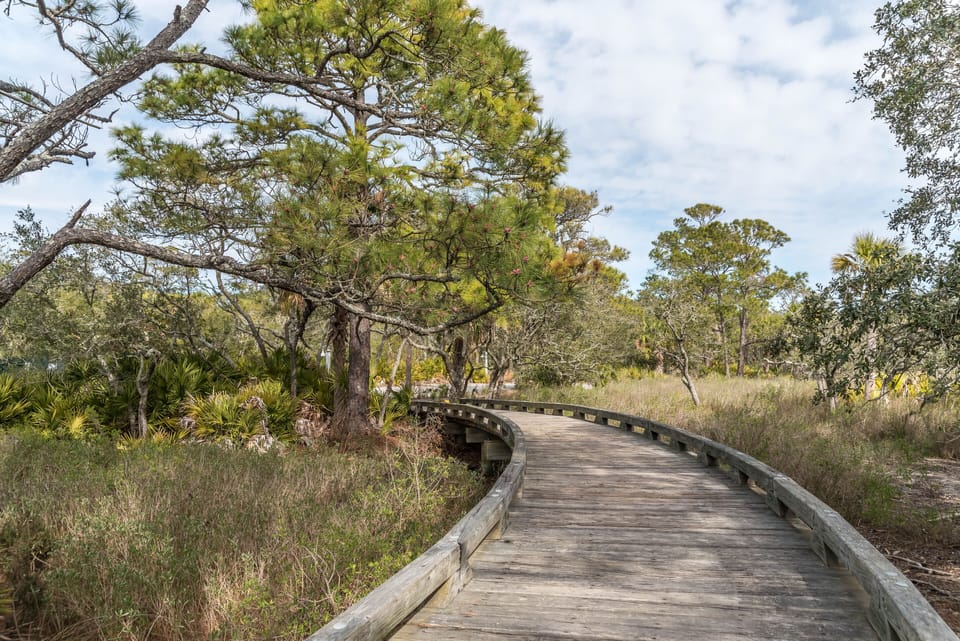 Marshes and Boardwalks - Fripp Island is a Protected Wildlife Sanctuary