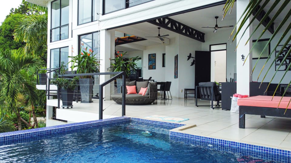Pool's eye view