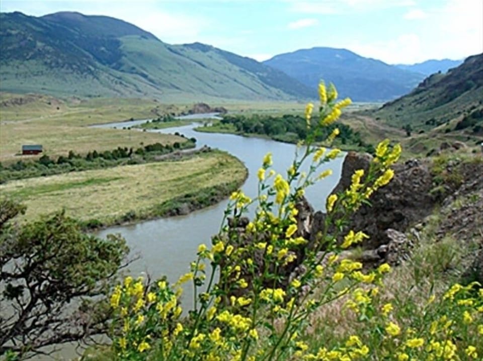 Spring on the Yellowstone