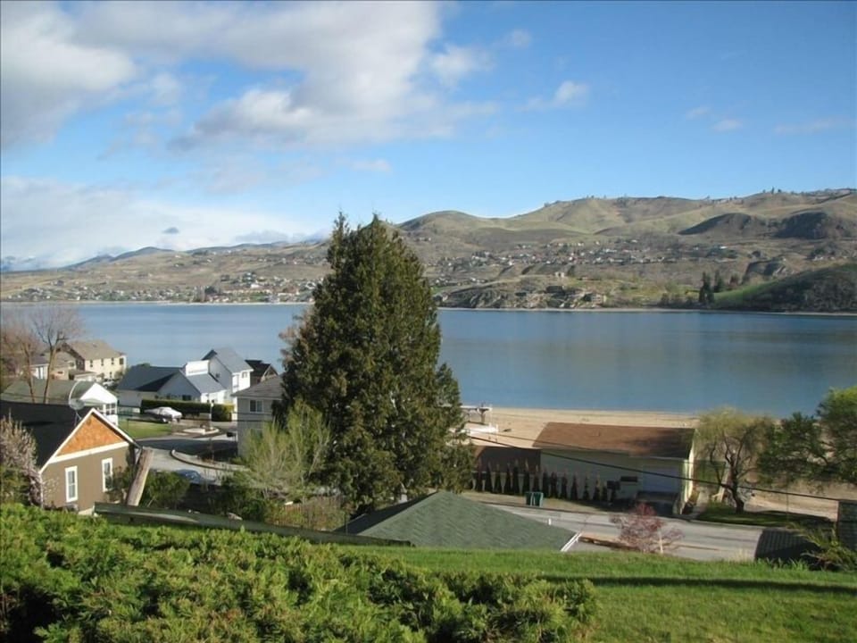 This is your view from the kitchen window.