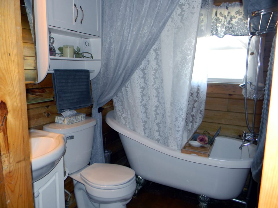 clawfoot slipper tub