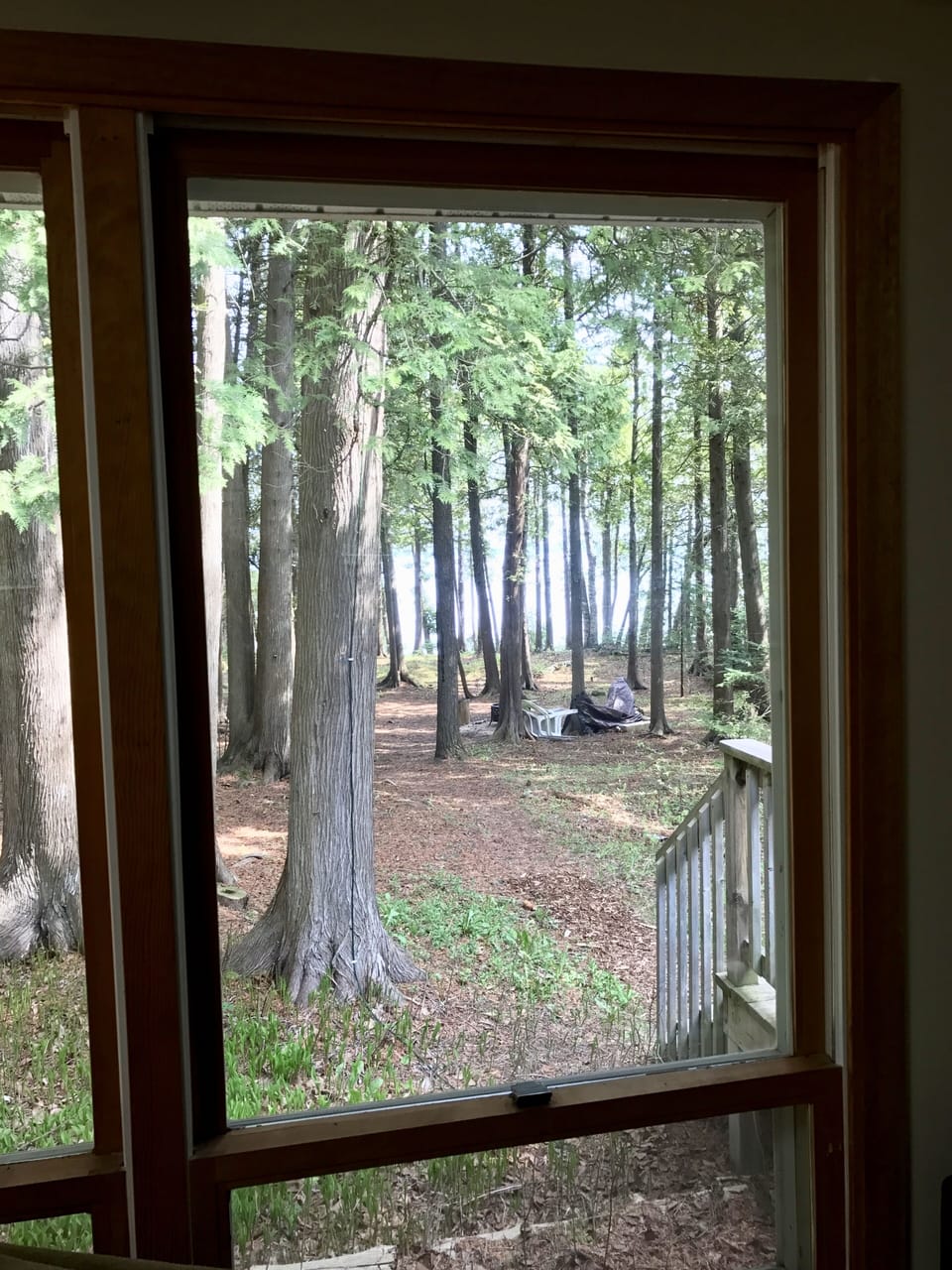View from living room.