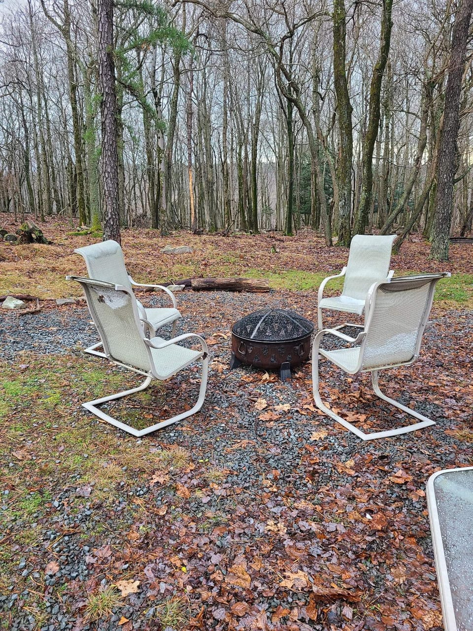 Outside fire pit area 