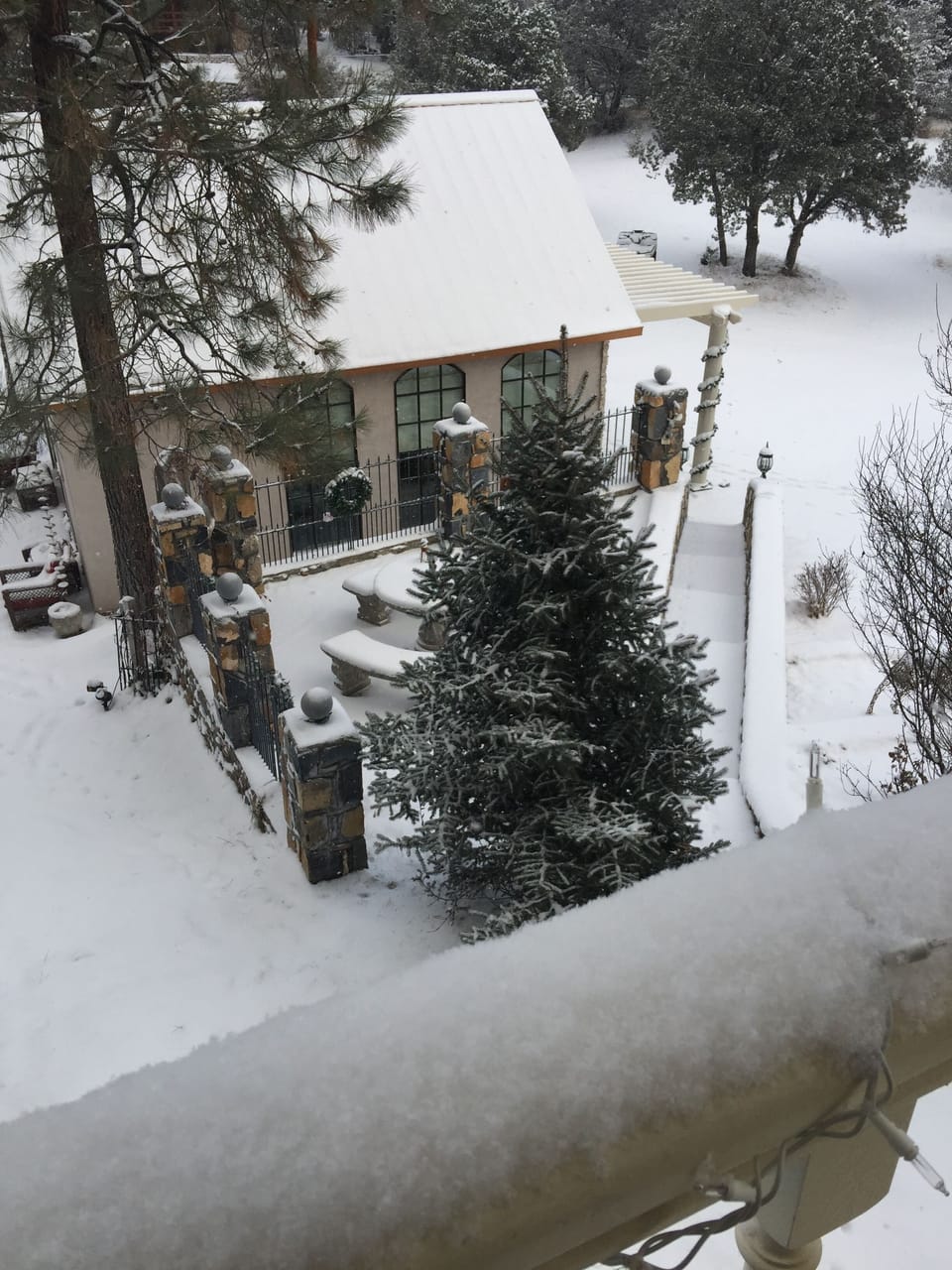 The Cottage