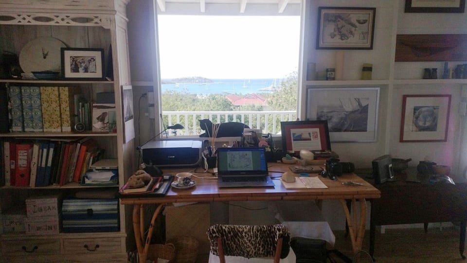 Office with a view (and a cat)
