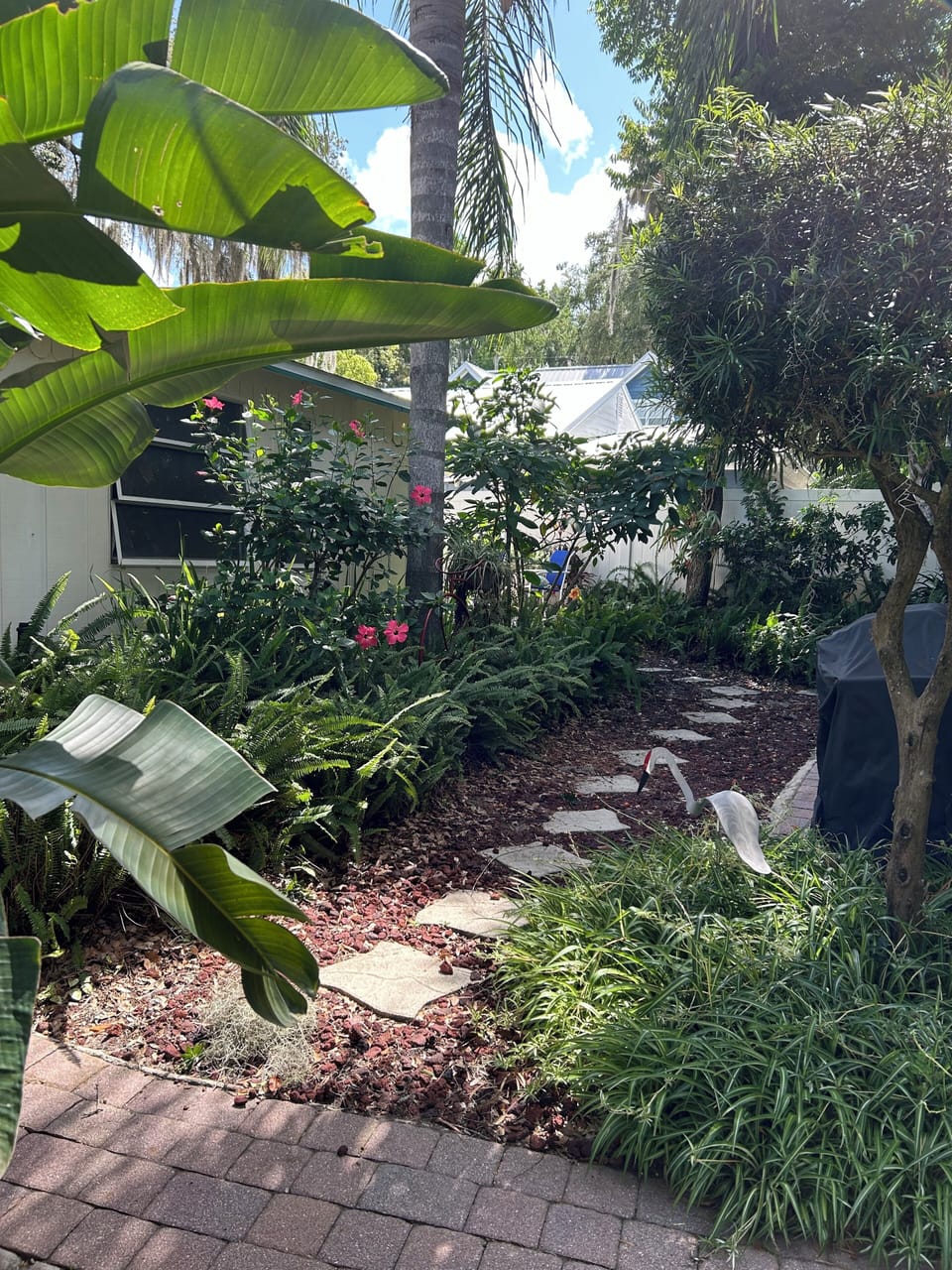 Entrance to back deck