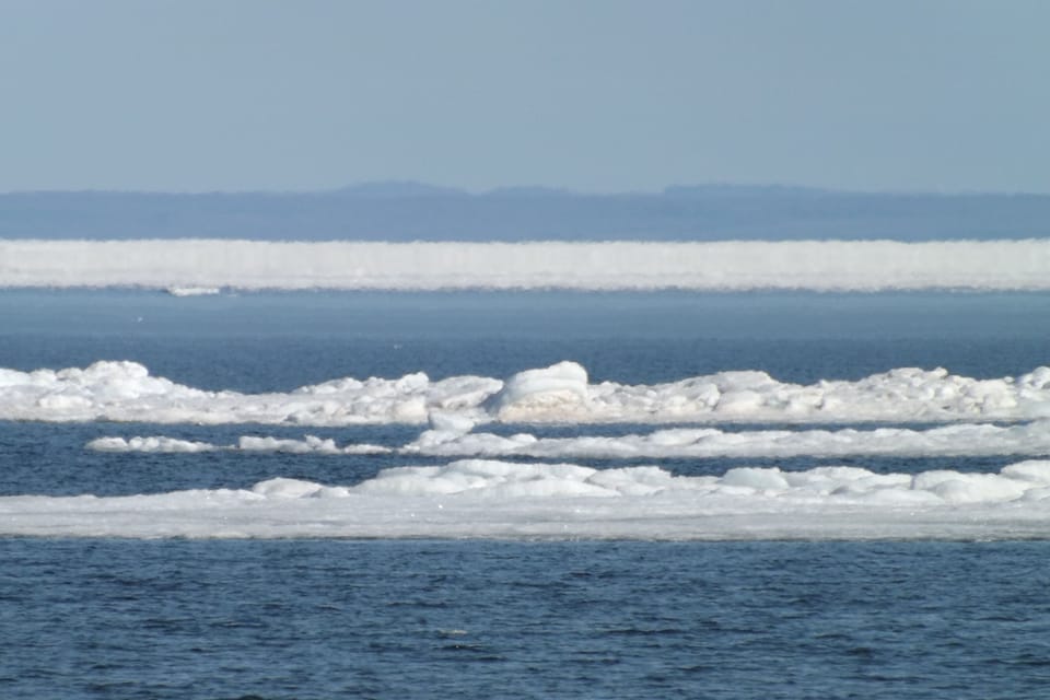 winter can be fun too !