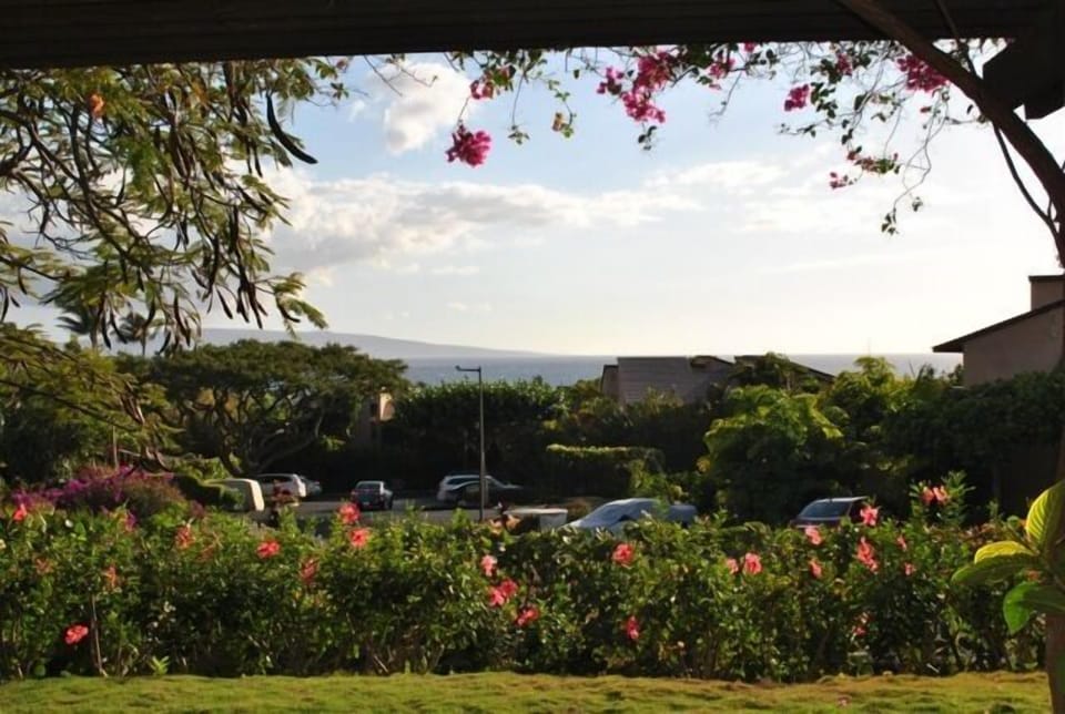 View from Main Lanai