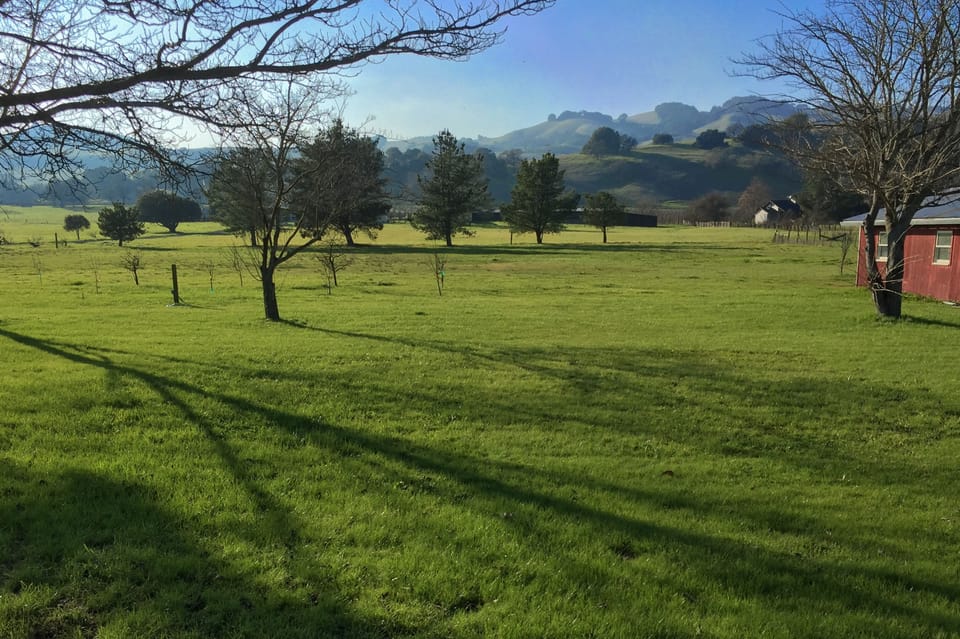 Amazing Views of the hills and vineyards from the private backyard