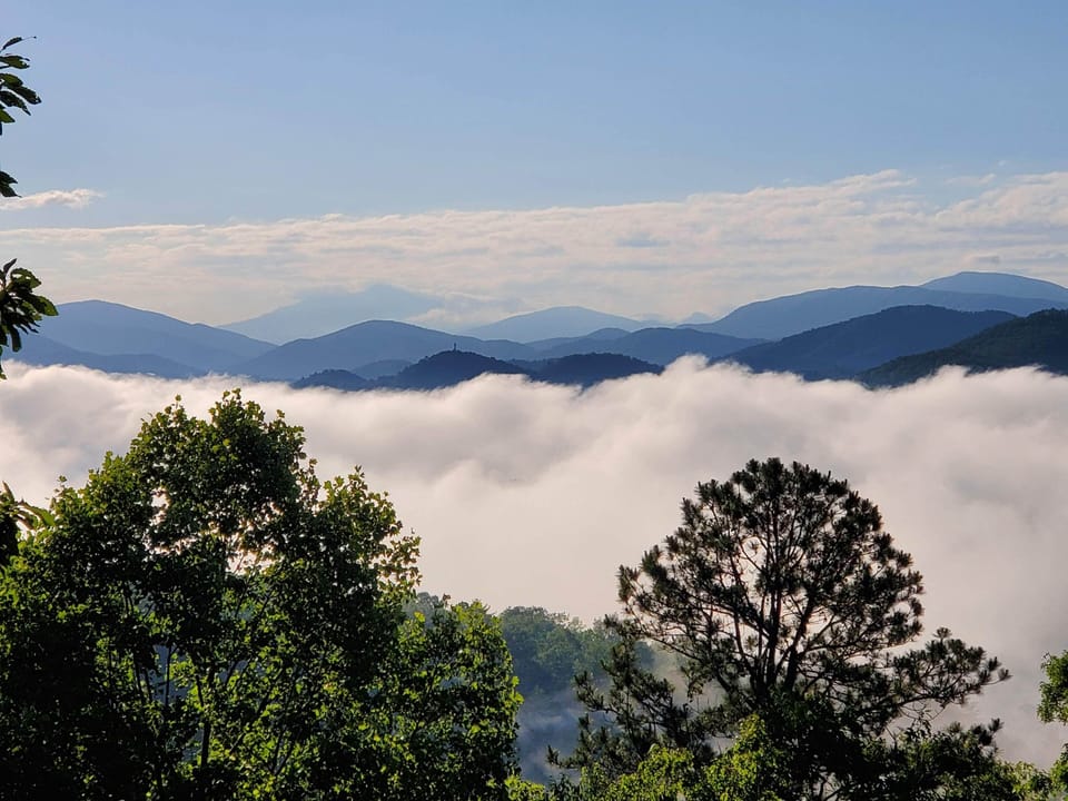 View from the deck is constantly changing