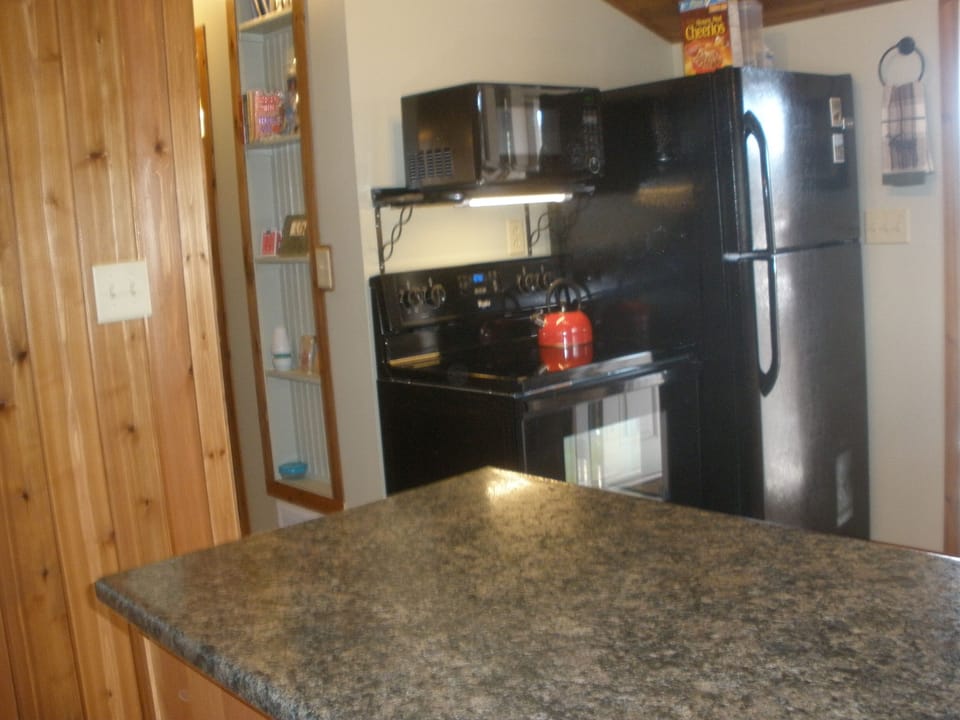 The other half of the kitchen!  All new appliances.