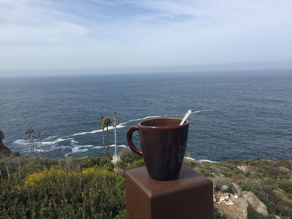 My morning cup of coffee. 