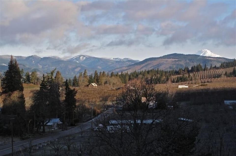 View of Mt. Adams from deck
