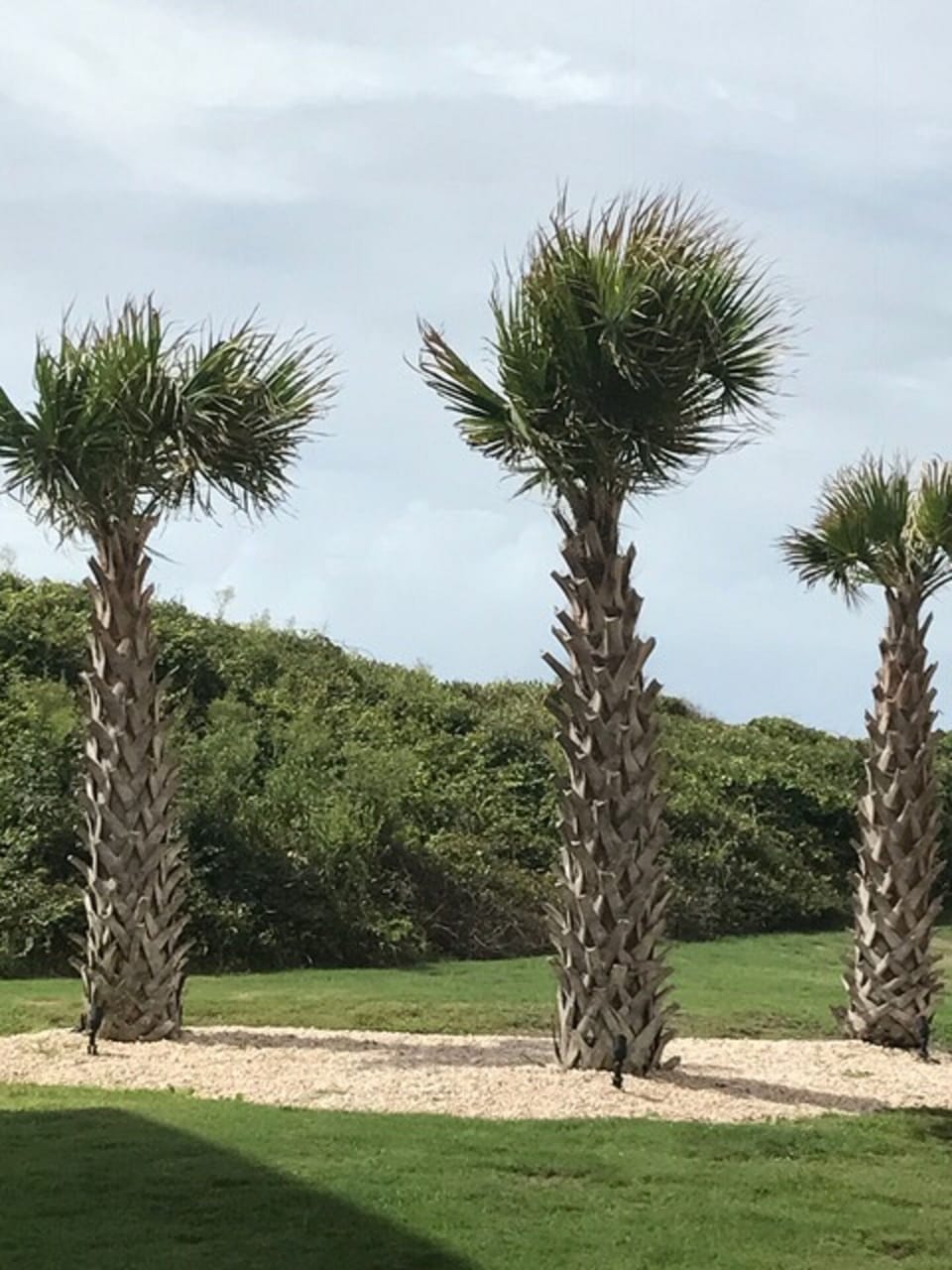 Beautiful landscaping
