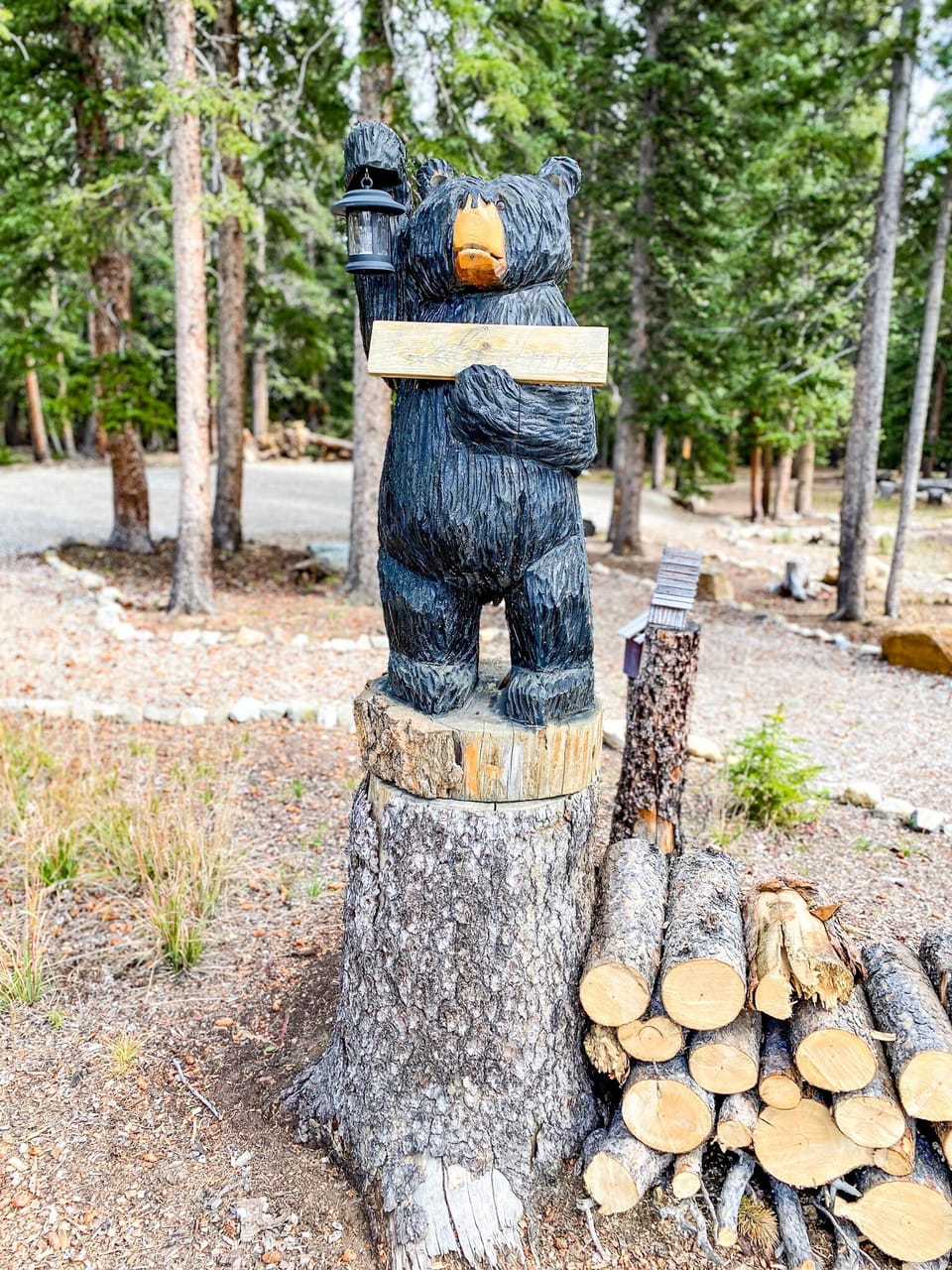 Another welcoming bear!