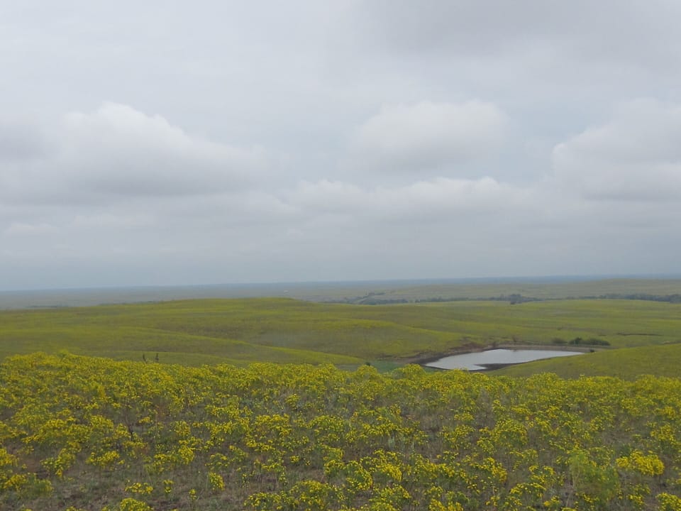 The open range is just around the corner.