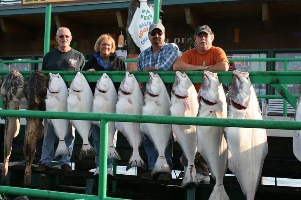 what can you say about Homer(halibut)